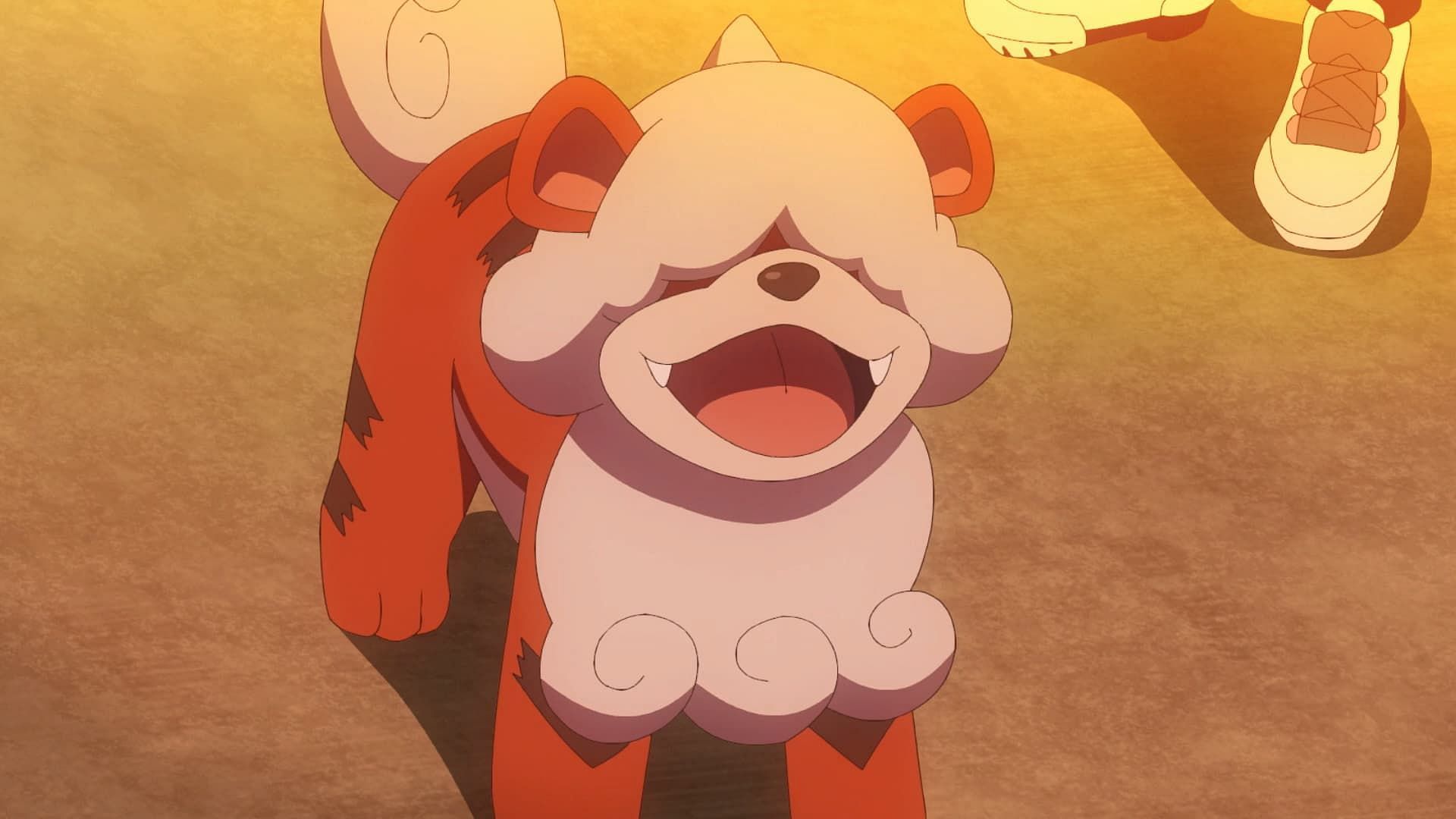 Hisuian Growlithe as seen in the anime (Image via The Pokemon Company)