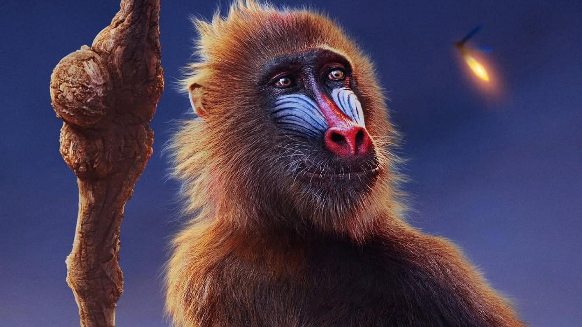 An image of Rafiki from Mufasa: The Lion King (Image via Instagram/@disneystudios)