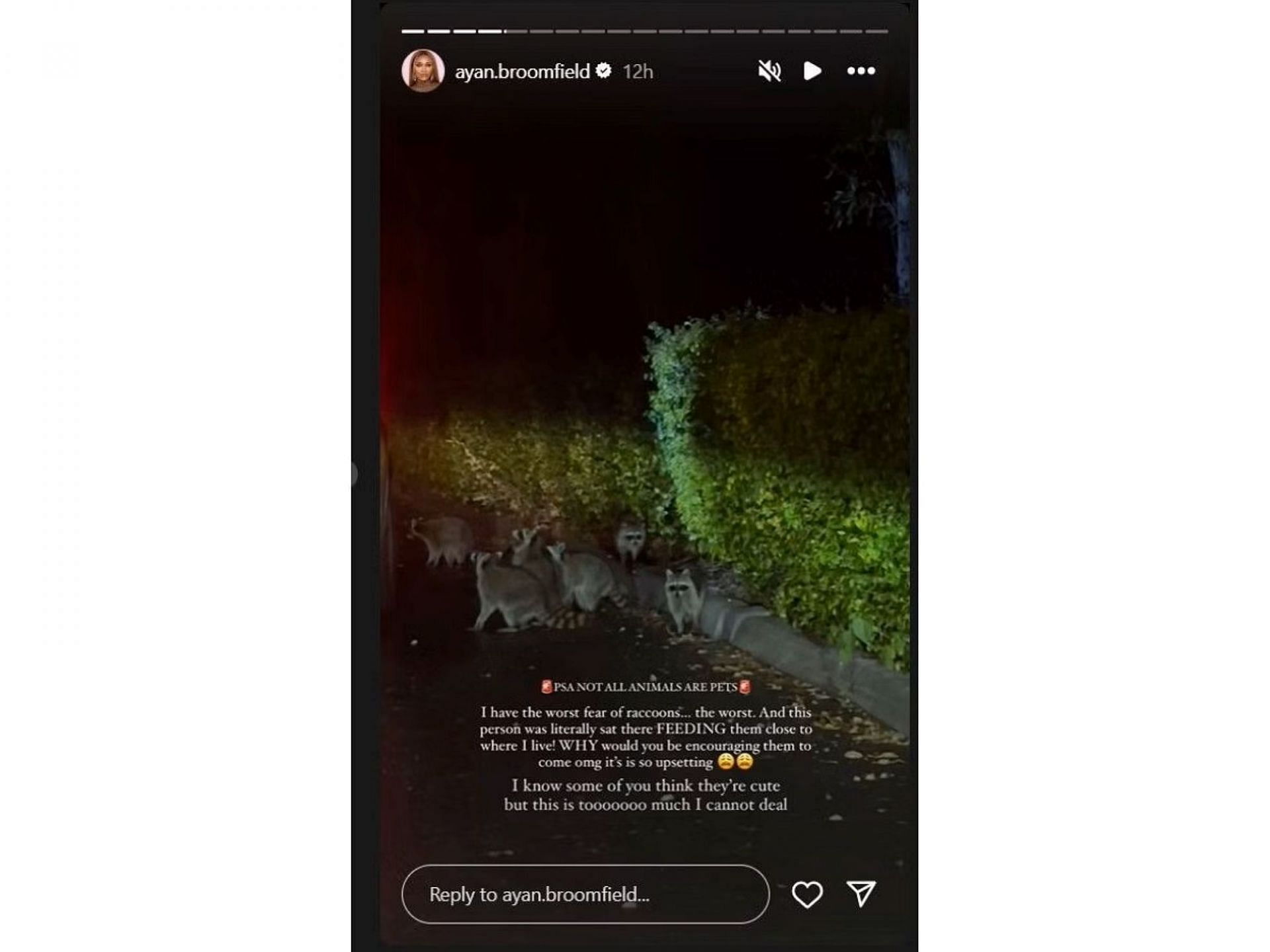 Tiafoe&#039;s girlfriend Ayan Broomfield concerned about raccoons in her locality; Instagram - @ayan.broomfield