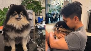 "You all are terrible people"— Fans angered by trolls and fan wars mocking BTS' Taehyung's dog, Yeontan’s death