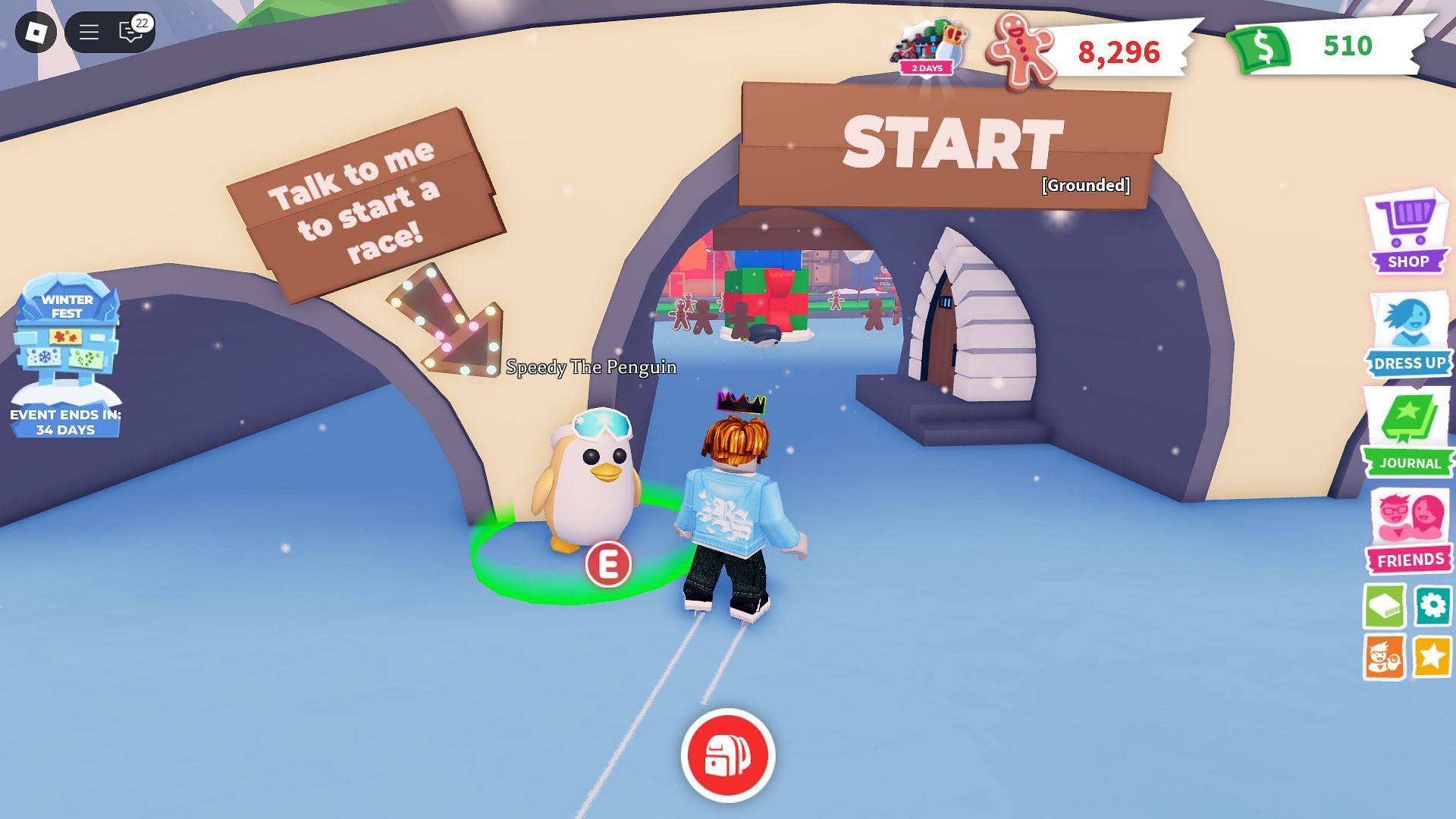 Talk to the Penguin to start the race (Image via Roblox)