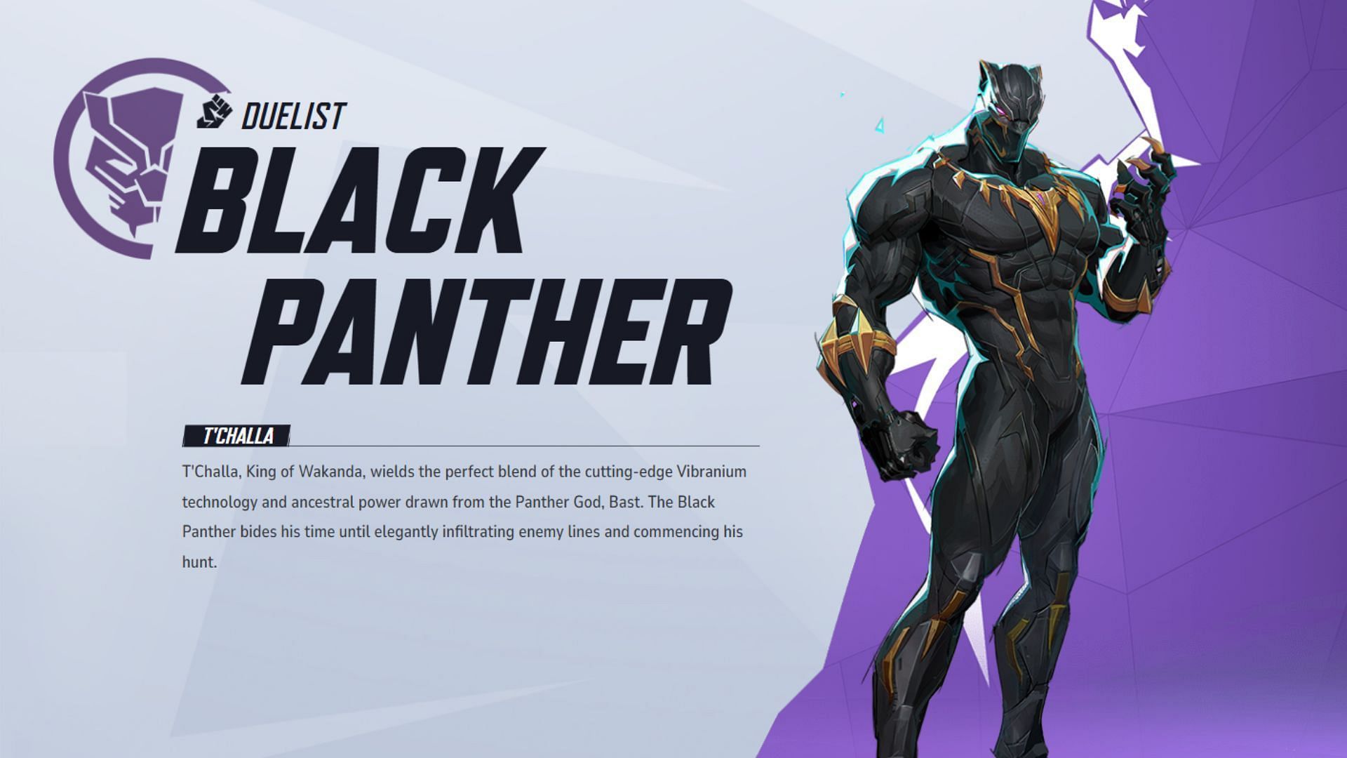 Black Panther is an excellent counter rival Winter Soldier in Marvel Rivals (Image via NetEase Games)