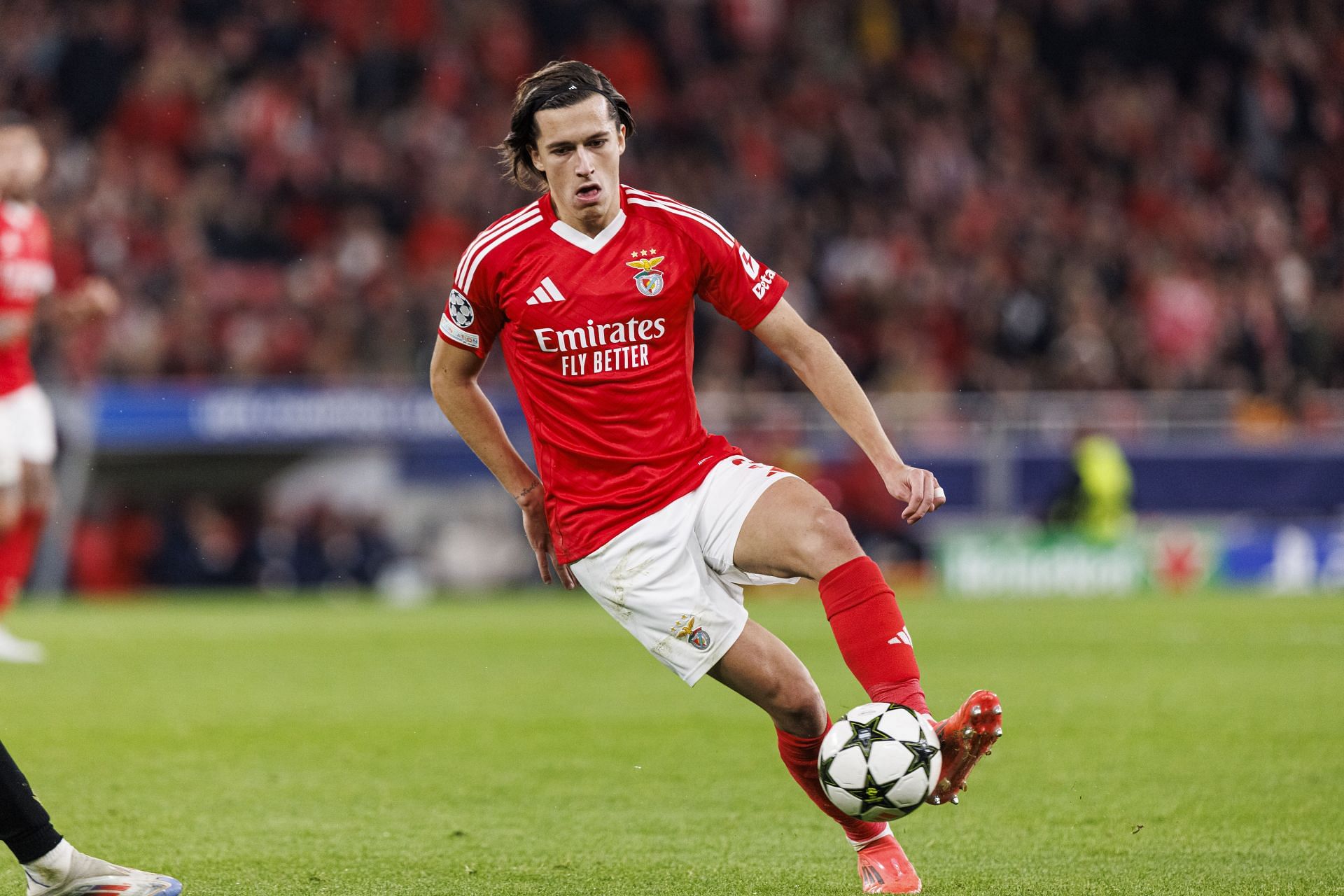 SL Benfica v Bologna FC 1909 - UEFA Champions League 2024/25 League Phase MD6 - Source: Getty