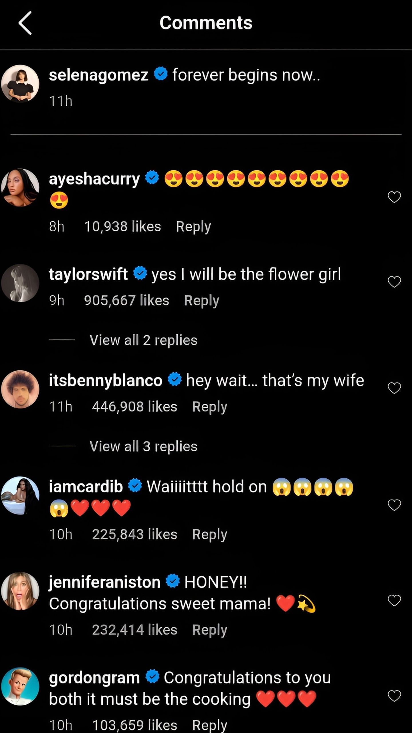 Comments on Selena Gomez&#039;s post [Credit: IG/@selenagomez]