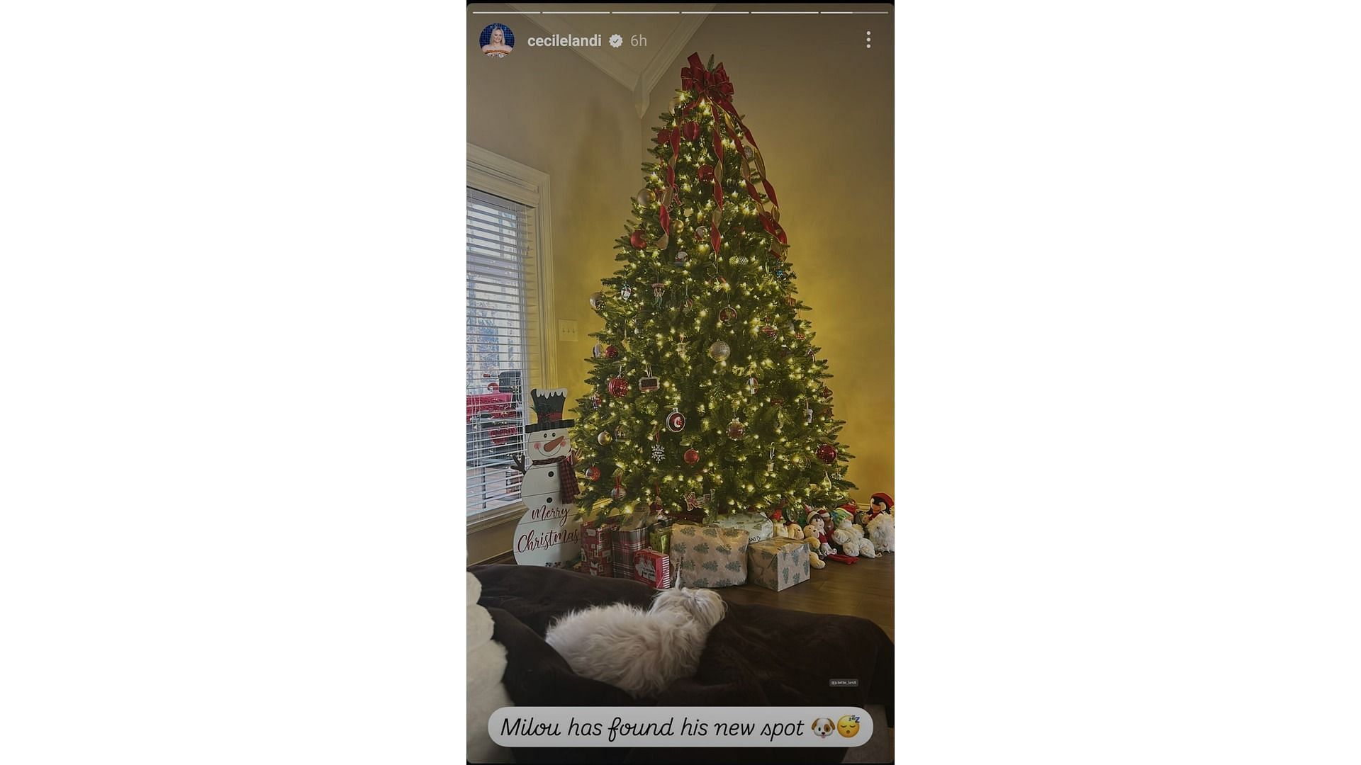 Screenshot of Landi&#039;s Instagram story featuring her dog and Christmas decor (Image via: Landi Instagram)