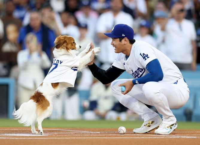 Shohei Ohtani's pet dog Decoy cements celebrity status with new Wikipedia update