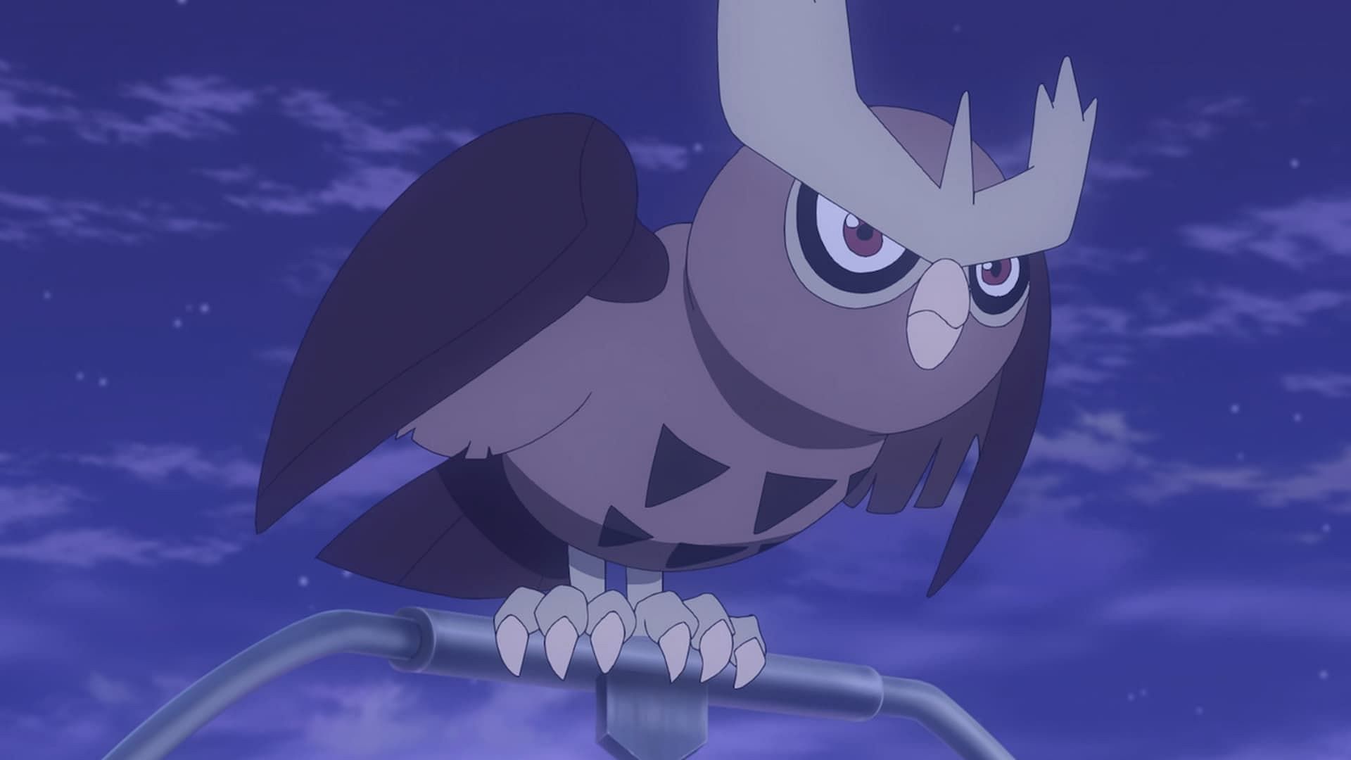 Noctowl as seen in the anime (Image via The Pokemon Company)