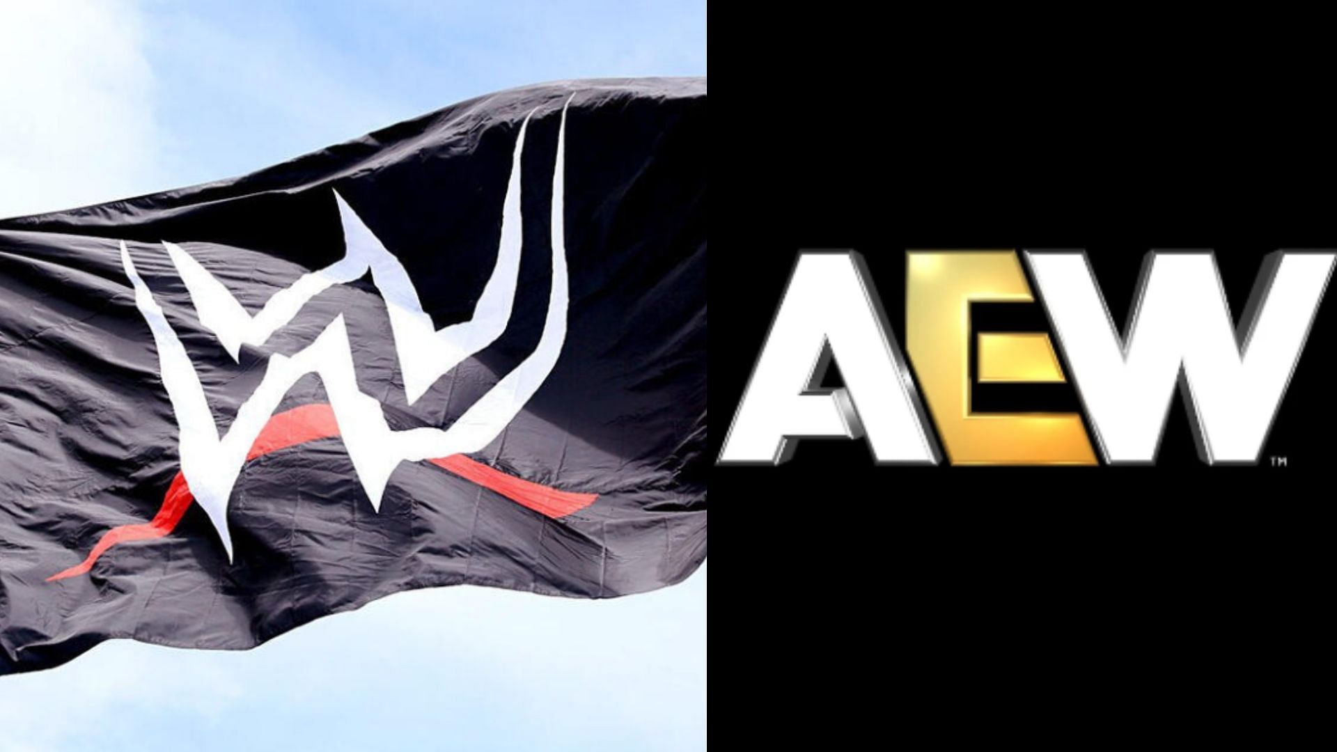 WWE and AEW are the leading pro-wrestling brands in the US [Image Credits: WWE and AEW