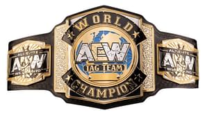 AEW star shares insights on the tag team division’s downfall