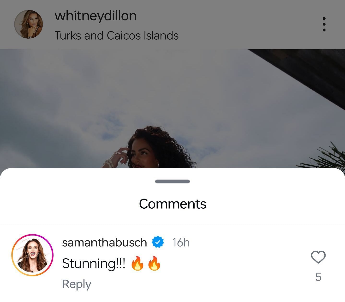 Samantha Busch&#039;s comment on Whitney Dillon&#039;s latest Instagram post. Credit: Whitney Dillon on Instagram.