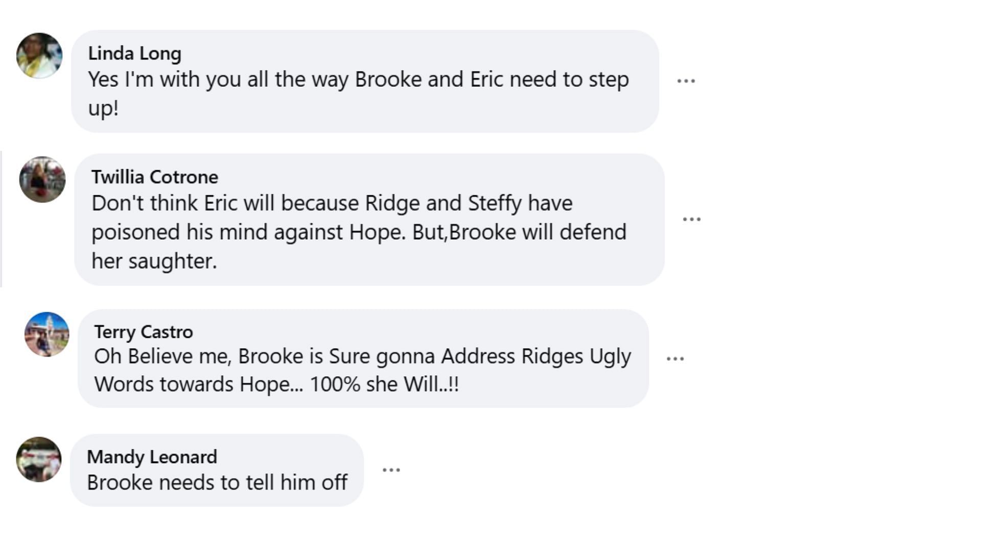 Fans discuss Brooke&#039;s role in the chaos (Image via Facebook/The Bold and the Beautiful)