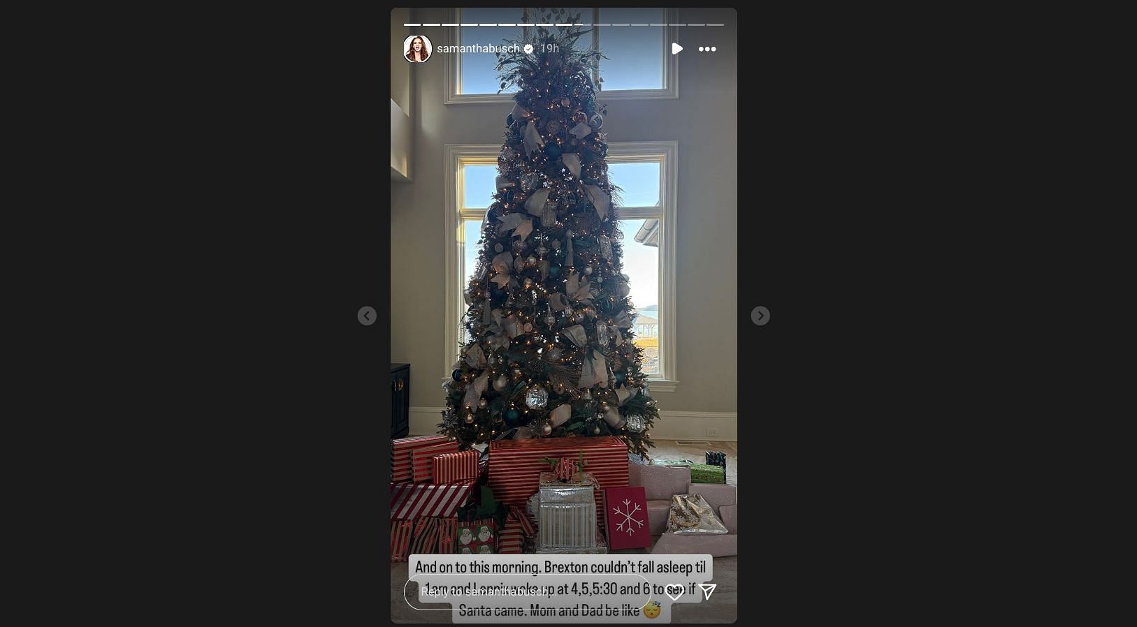 Samantha Busch&#039;s story on Christmas - Source: via @samanthabusch on Instagram