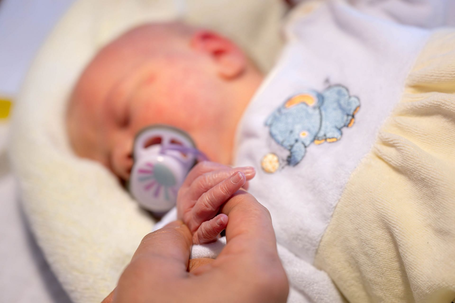 New pilot project to recruit nurses and midwives - Source: Getty