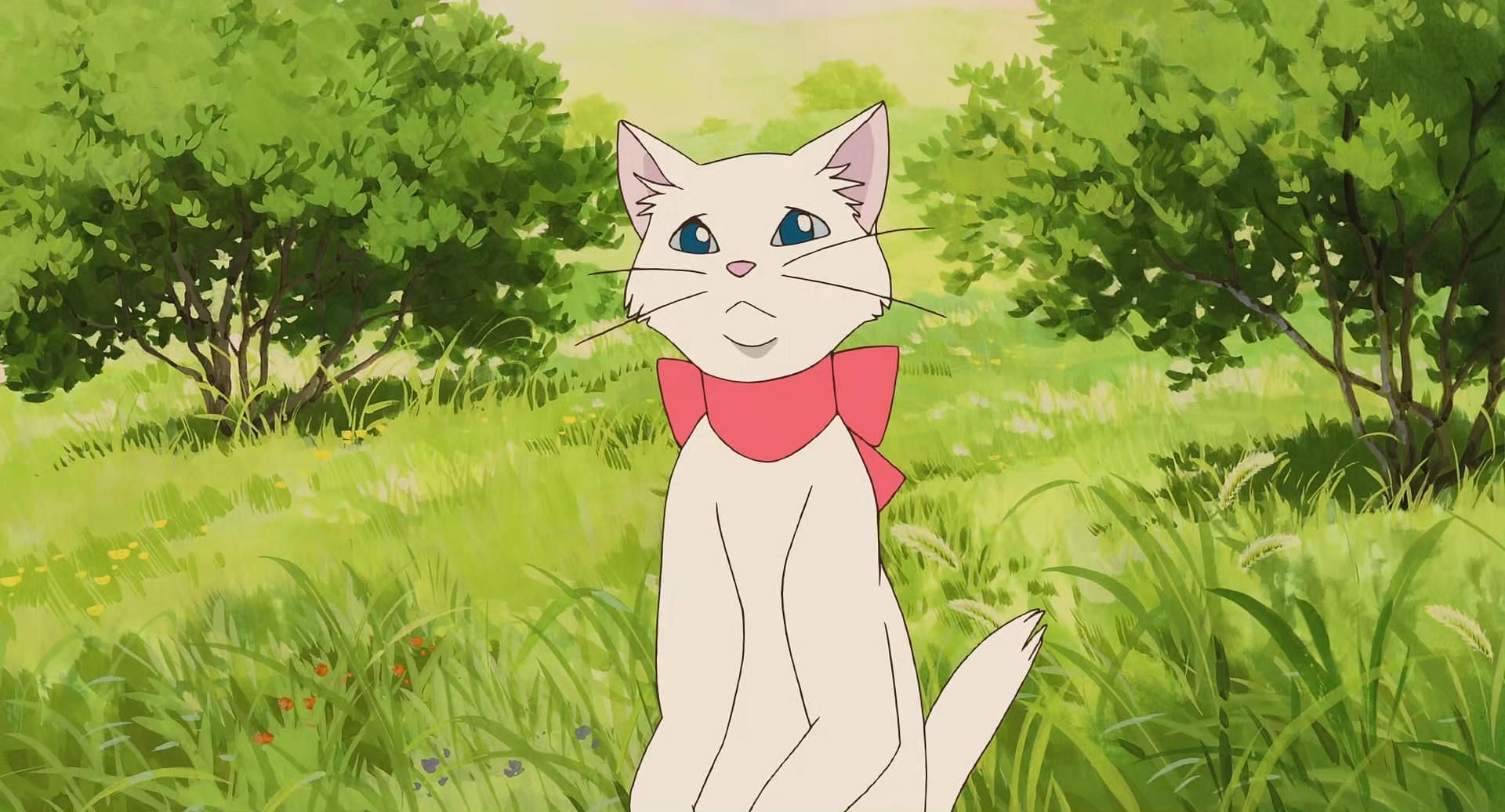 The Cat Returns (Image via Studio Ghibli)