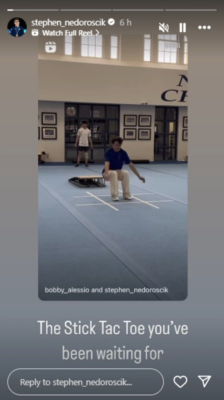 Screenshot of Nedoroscik&#039;s Instagram story.
