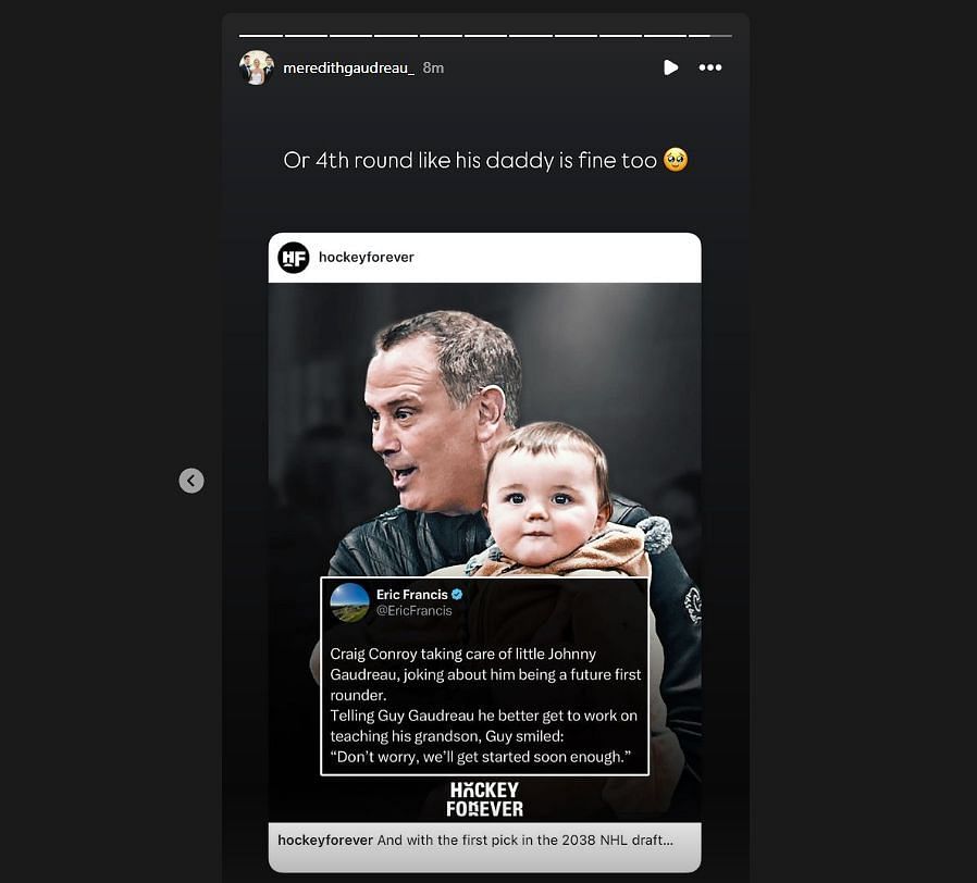 Meredith shared the post in her IG story (image credit: instagram/meredithgaudreau_)