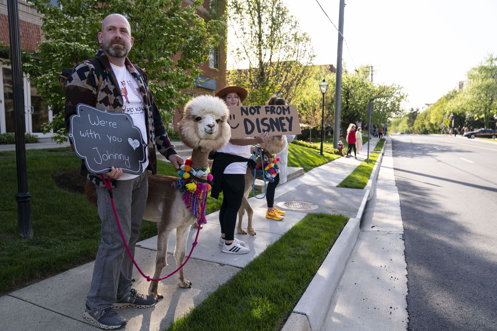 Fans arrive for the defamation trial with alpacas (Image via Getty)