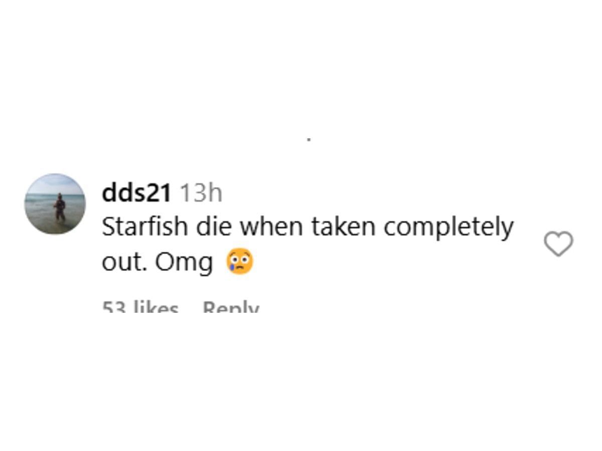 Follower&#039;s comment on Instagram