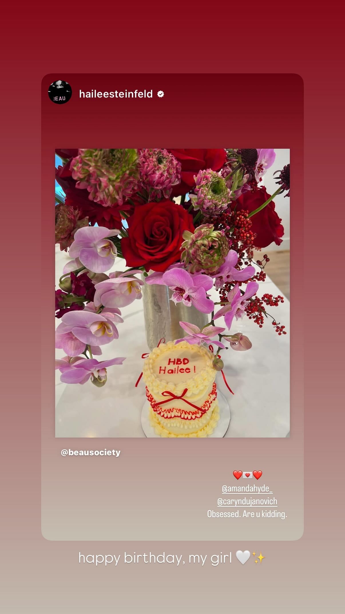 Hailee Steinfeld's birthday cake from Amanda Hyde