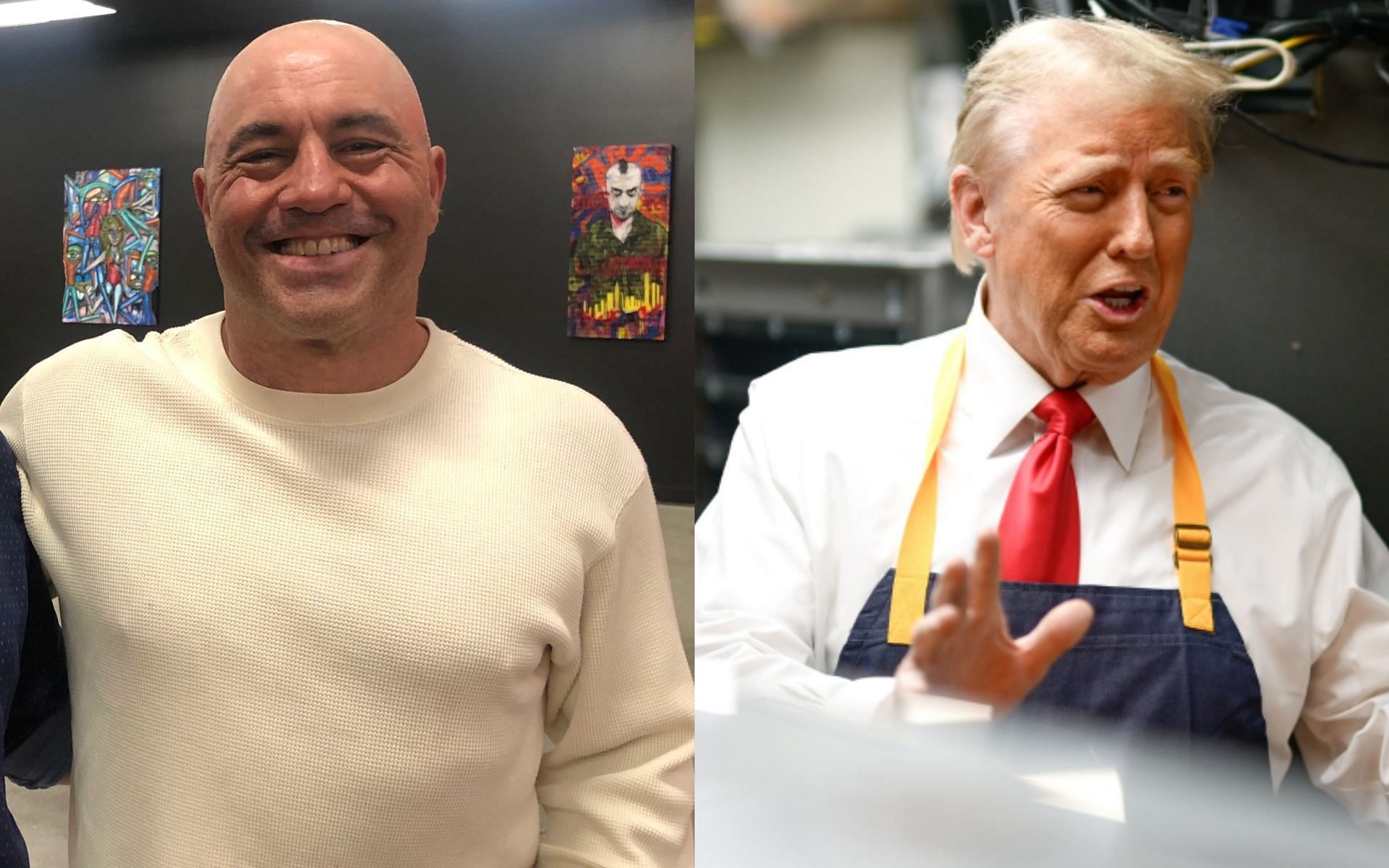 Joe Rogan (left) has extensively discussed Donald Trump