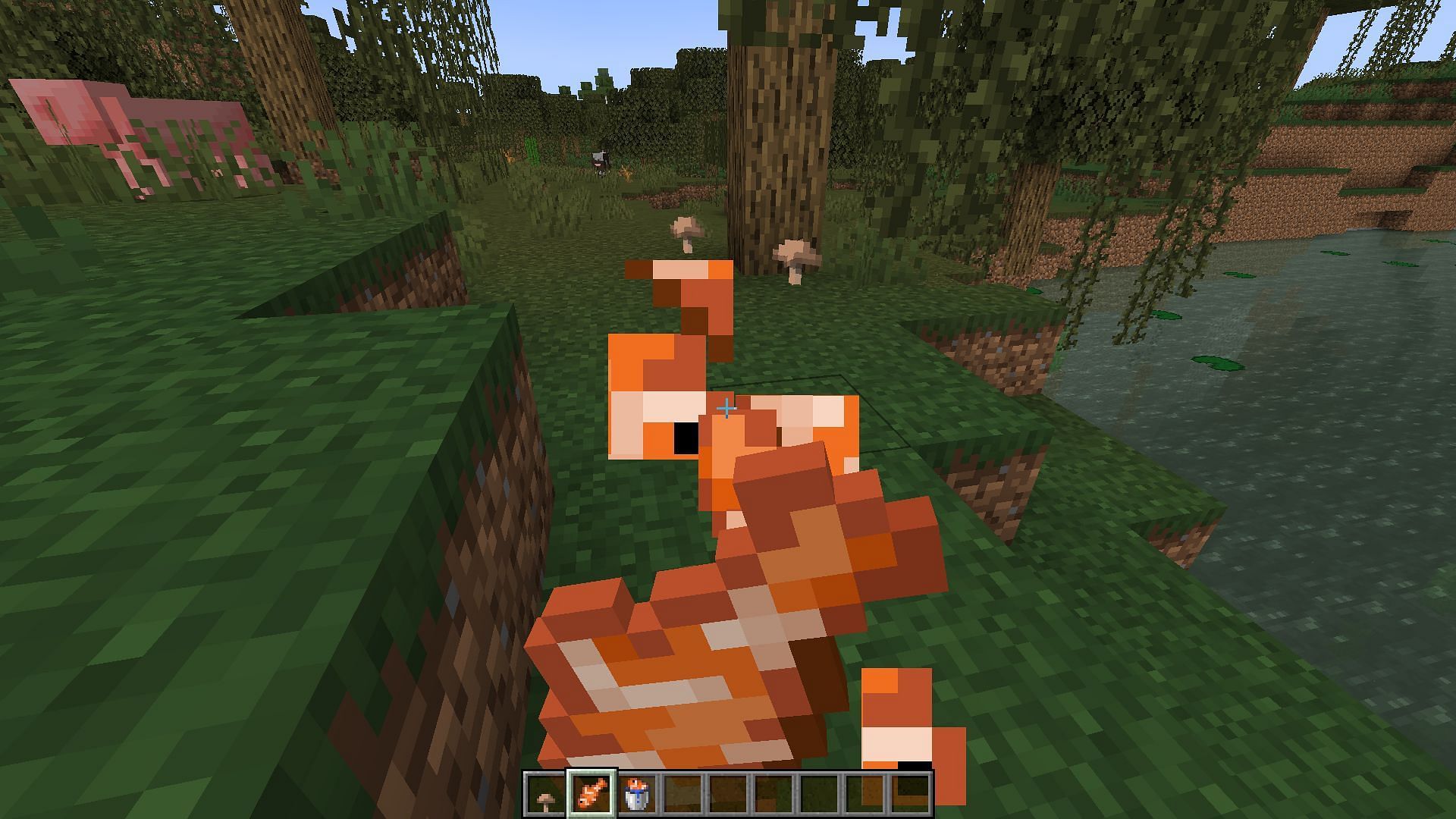 Players can only eat tropical fish when they are in creative mode. (Image via Mojang Studios)