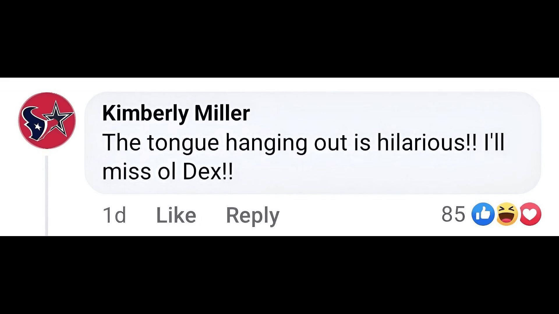 Comment screenshot of a fan (Image via Facebook/General Hospital)