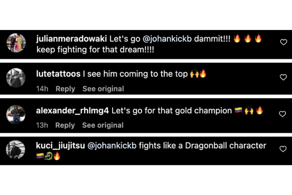 Screenshot of fans&#039; comments