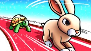 Animal Race codes