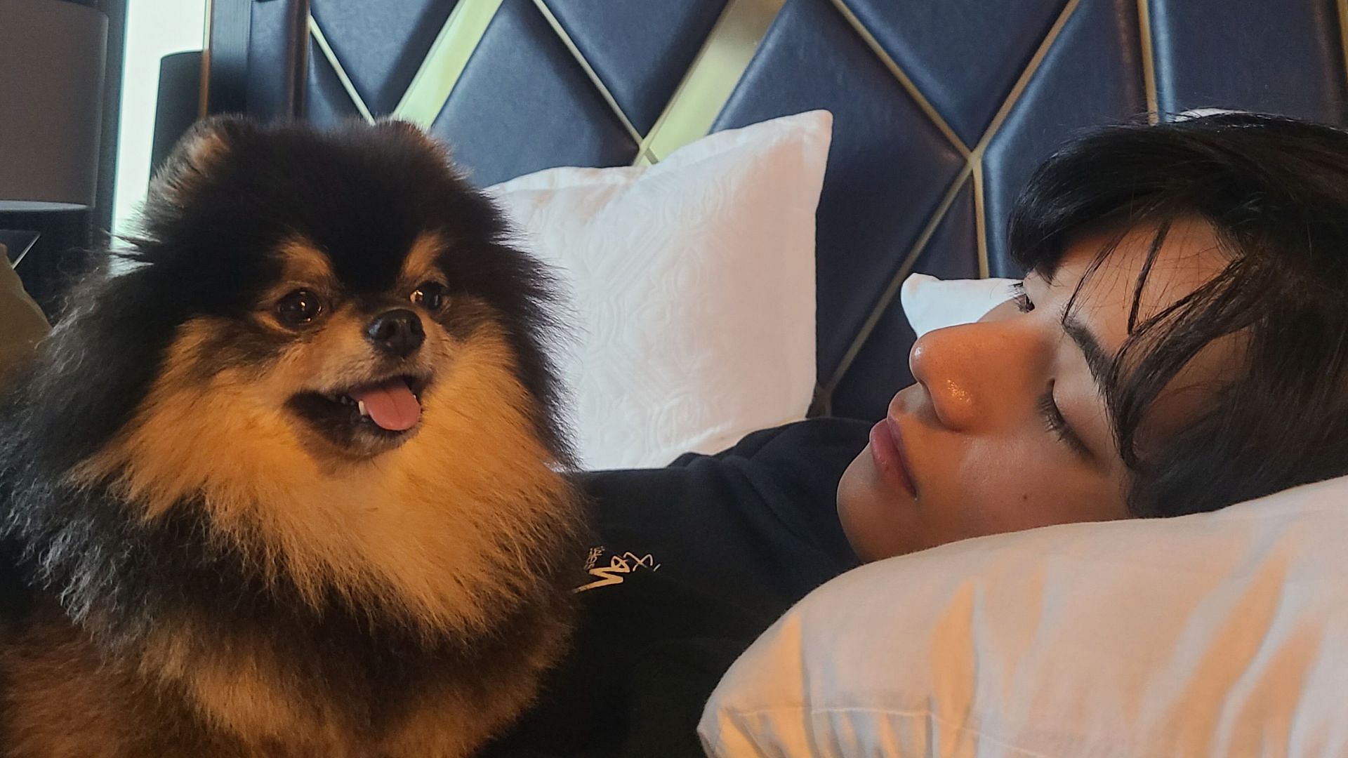 BTS&rsquo; Taehyung announces the death of his pet dog, Yeontan in a heartfelt update (Image via Weverse)