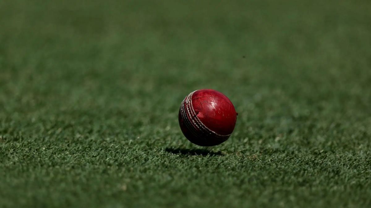 क्रिकेट मैदान में दिखा अनोखा नजारा (Photo Credit_Getty)
