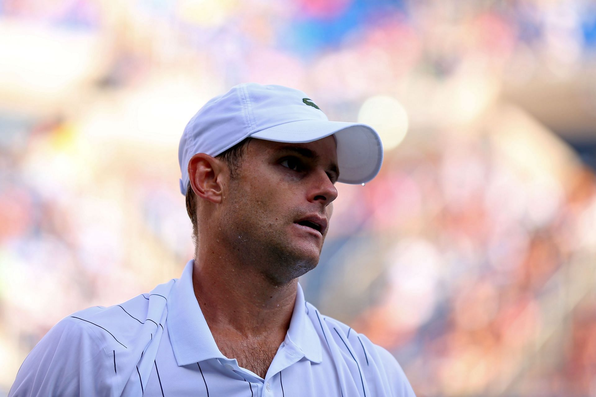 Andy Roddick - Source: Getty