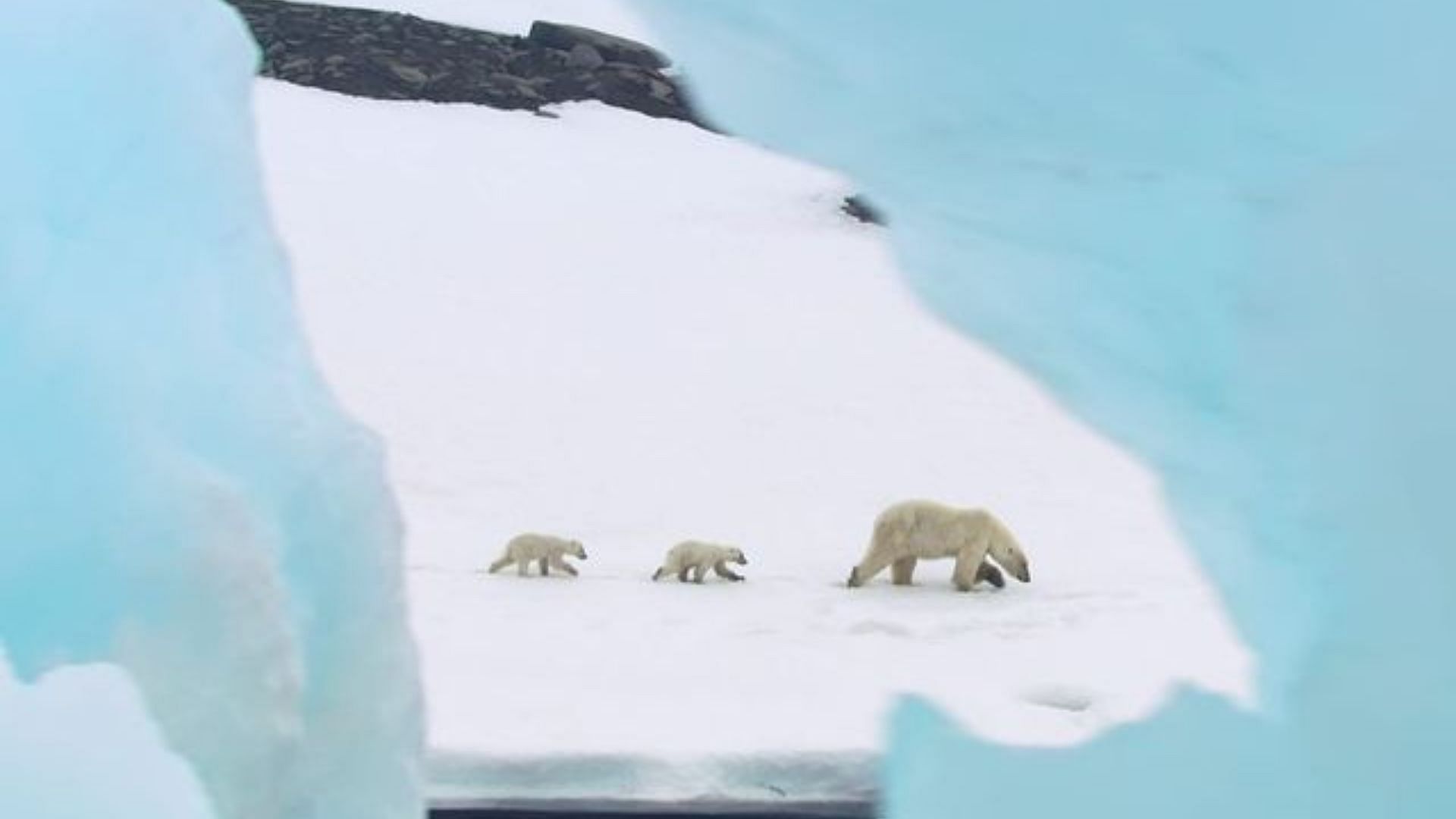 Our Oceans docuseries (Image via Instagram/@ourplanet)