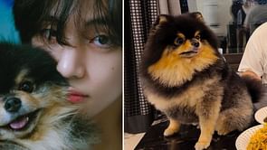 When did Taehyung first introduce Yeontan to the ARMYs? Health struggles explored as BTS' member's pet dog passes away
