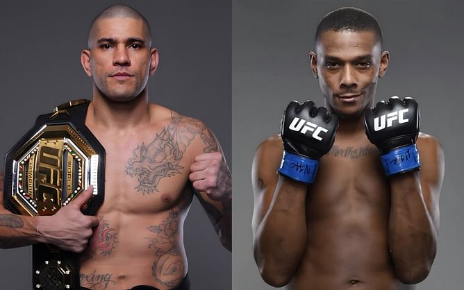 Alex Pereira gives four-word statement on showdown with Jamahal Hill that nearly came to blows, follows up with nonchalant reaction