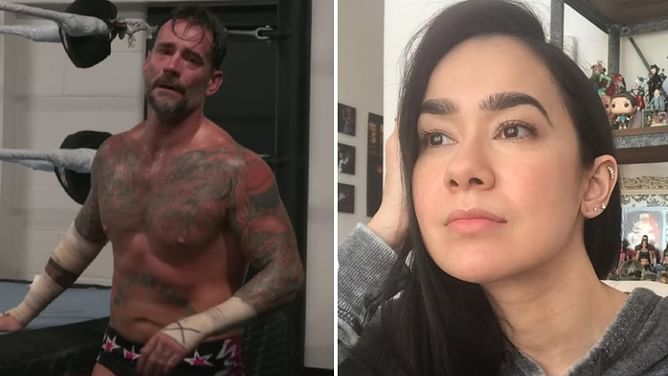 CM Punk sends emotional message to AJ Lee after failing to capture the WWE World Heavyweight Championship