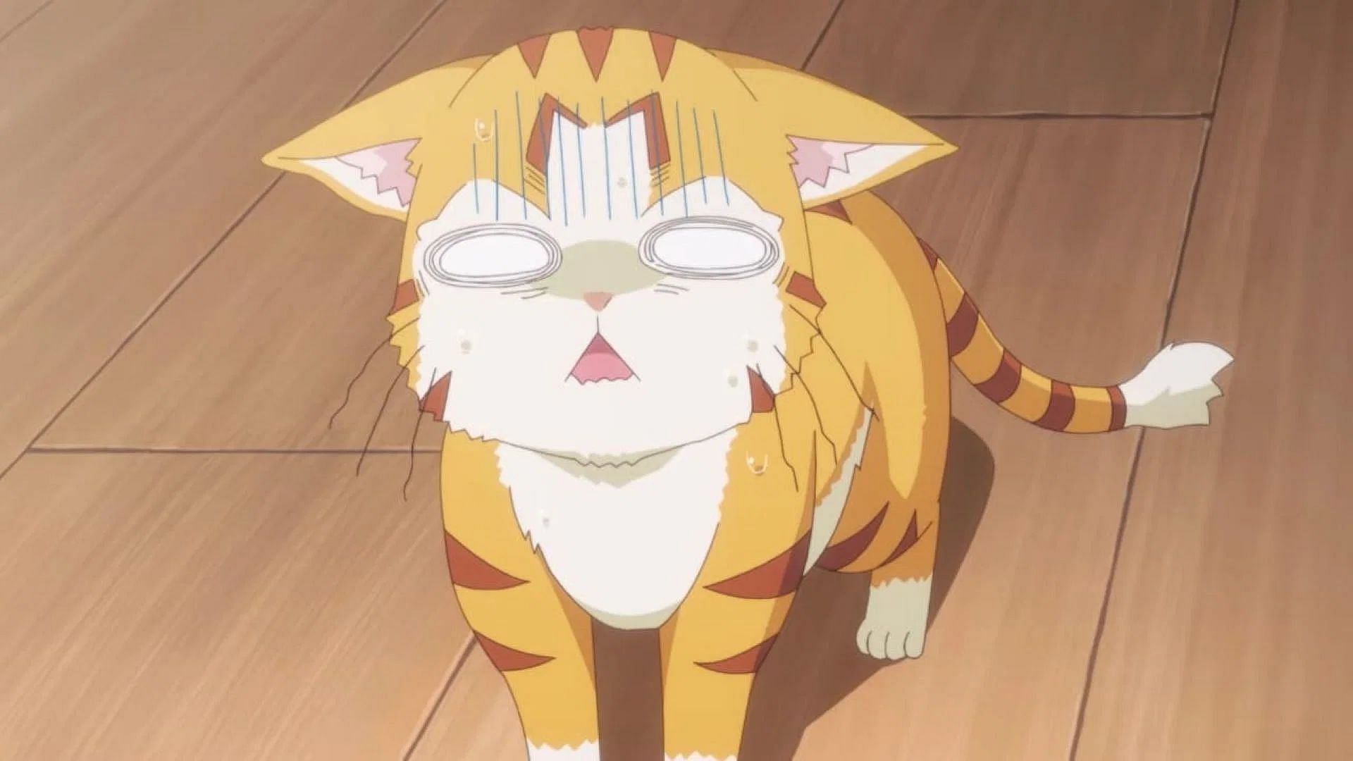 Tama in his Cat form as shown in the anime (Image via Zero-G and Saber Works)