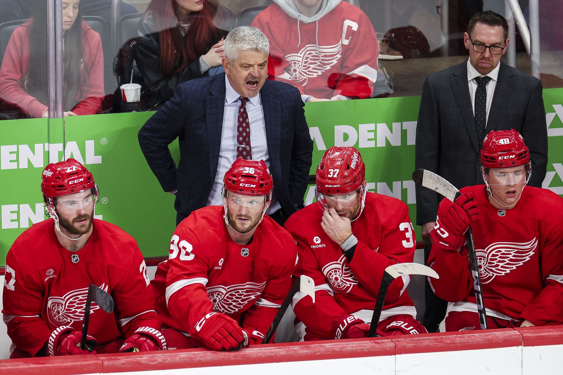 Red Wings HC Todd McLellan makes his thoughts clear about team’s ...