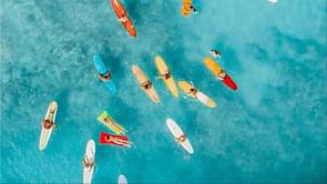 What is Surfbreak Hawaii? Founder RJ Martin reveals Luigi Mangione suffered from chronic back pain and a 'pinched nerve'