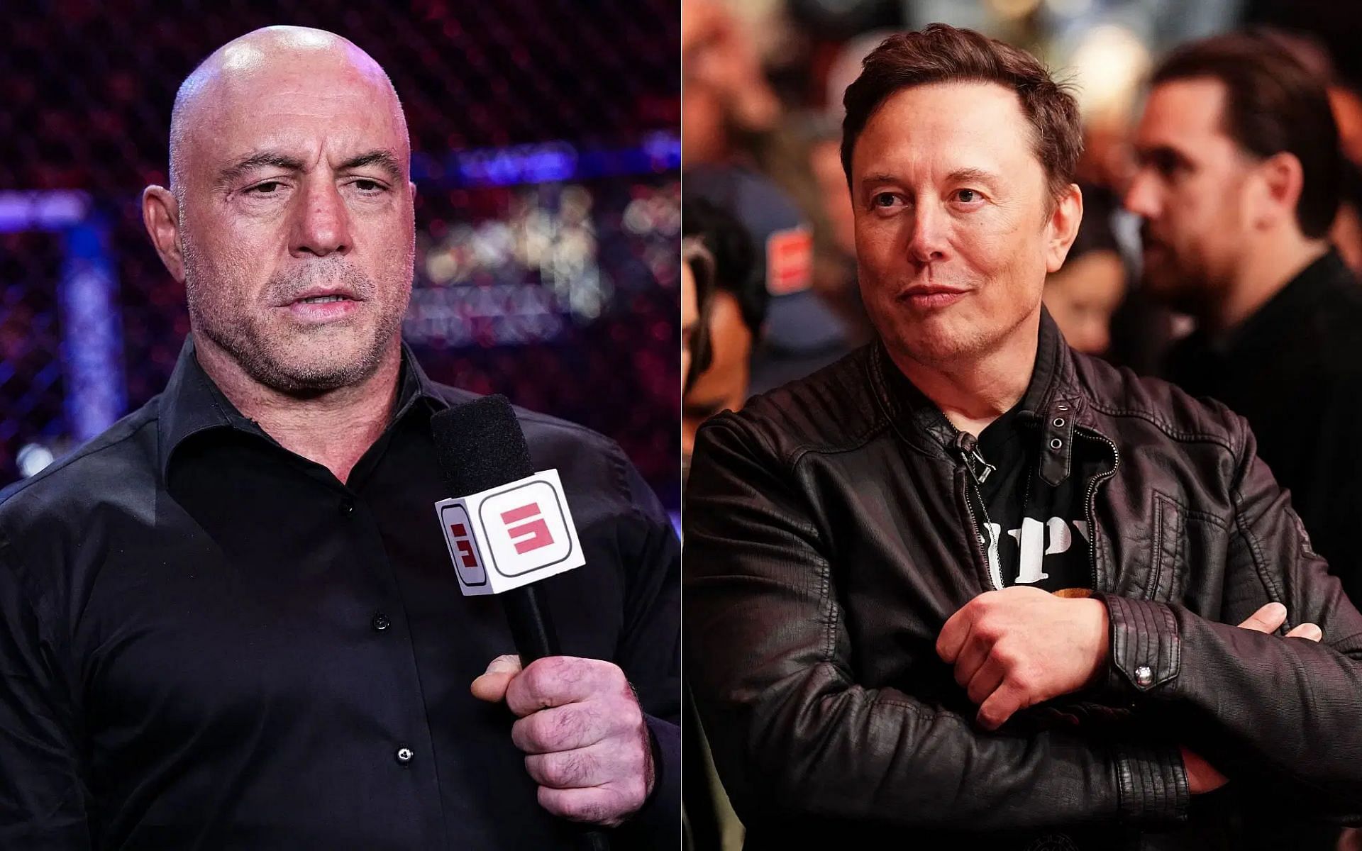 Joe Rogan (left) speaks about Elon Musk [Image courtesy: Getty]