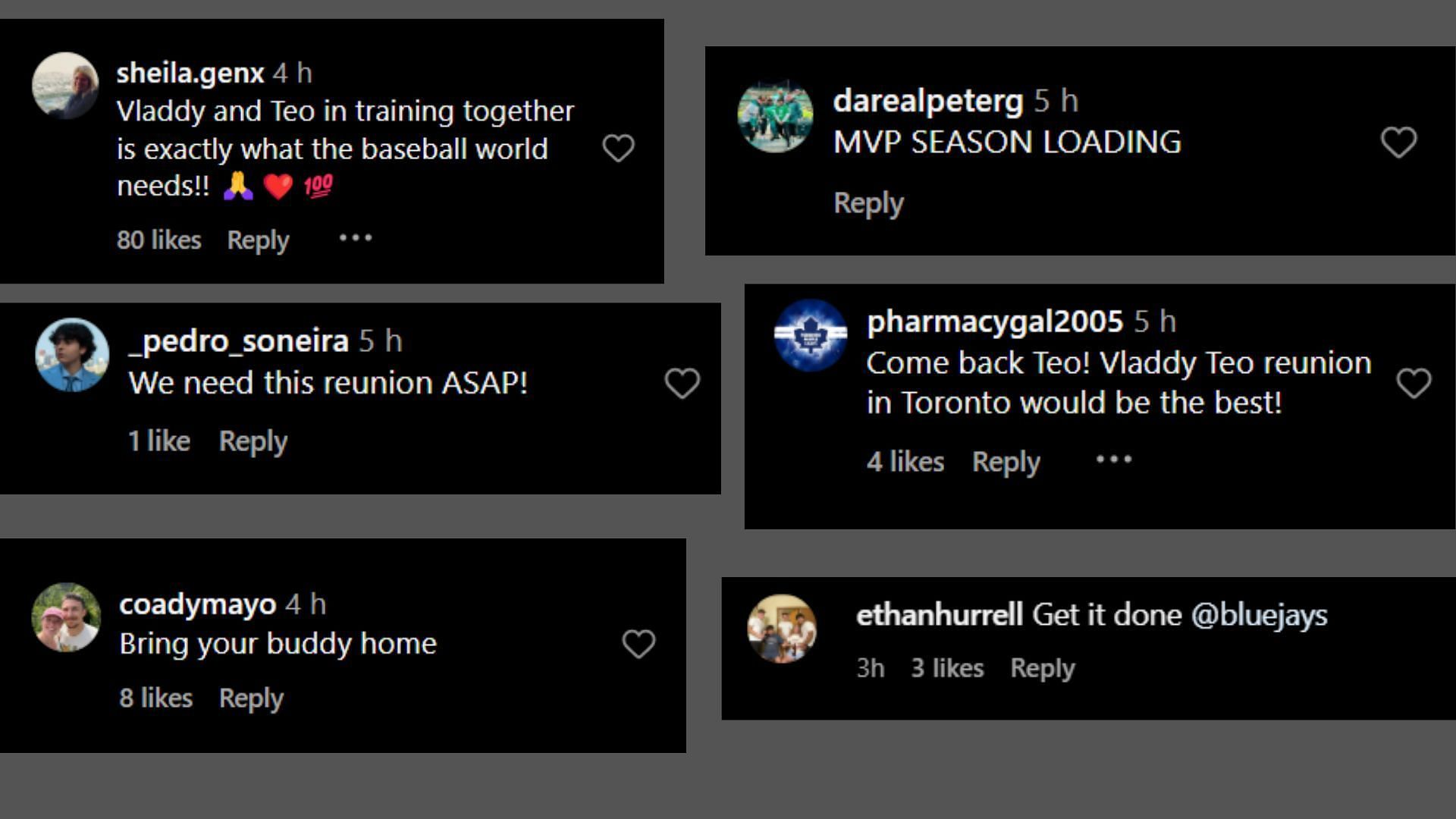 Vladimir Guerrero Jr.&#039;s Instagram comments