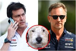 Picture: Red Bull Christian Horner shares the image of his terrier on social media after his 'rather be a terrier than a wolf' remark to Toto Wolff