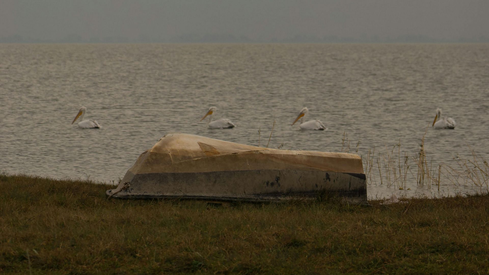 Crime scene of Lake Waco murders (Representative Photo by pexels ) 