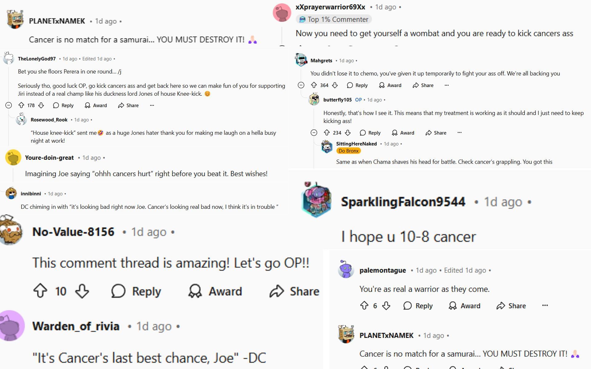 Fans react to Jiri Prochazka fan embracing his signature braid before chemo hair loss. [Screenshots from Reddit]