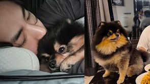 "Such a heart touching gesture"— Internet reacts as BTS' Taehyung's fan names a star in honour of his late pet, Yeontan