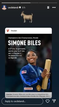 Screenshot of Landi's Instagram story.