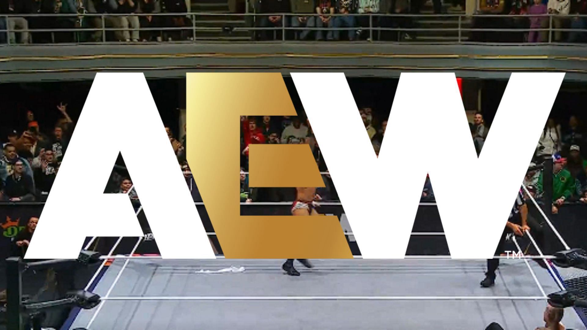 All Elite Wrestling is a Jacksonville-based promotion led by Tony Khan [photo: AEW