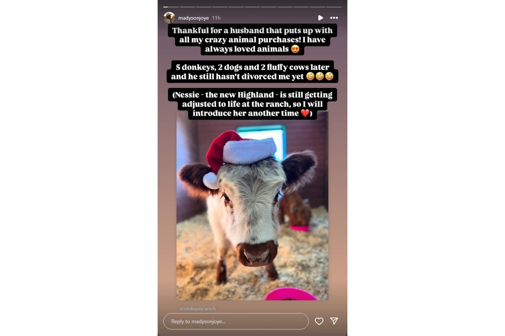 Madyson Joye Stenhouse shares her ranch&#039;s new animal on Instagram (@madysonjoye on IG)