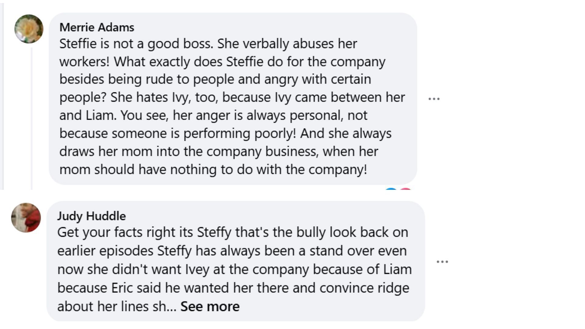 Fans point out Steffy&#039;s bad boss attitude (Image via Facebook/The Bold and the Beautiful)