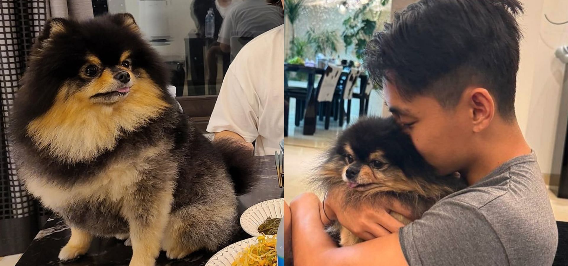 Fans speculate on Yeontan&rsquo;s death timeline. (Images via Instagram/@thv)