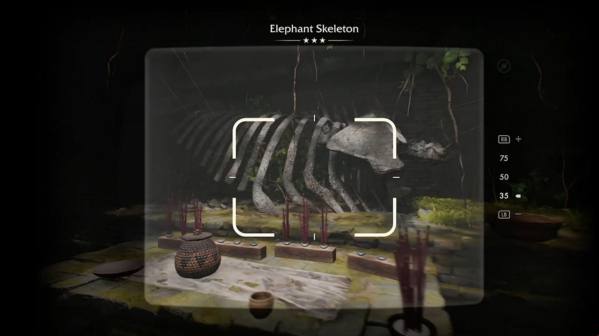 Your reward is some adventure points, acquired upon taking the image of the skeleton (Image via Bethesda Softworks/ YouTube@ Trophygamers)